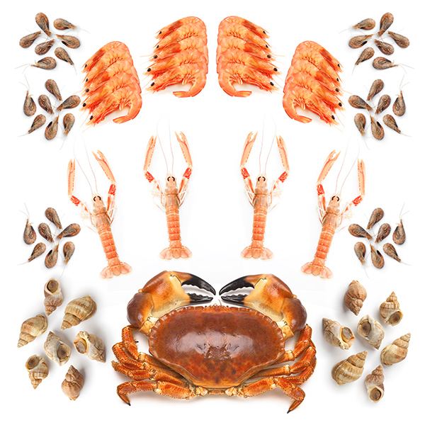 Air-flown Seafood Platter 1