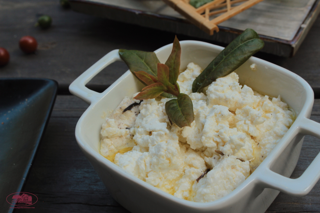 Malagos Turkish Feta thumbnail 2