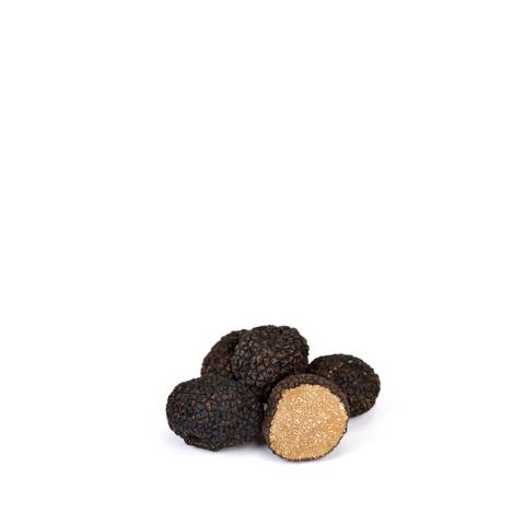 Fresh Summer Black Truffles from France