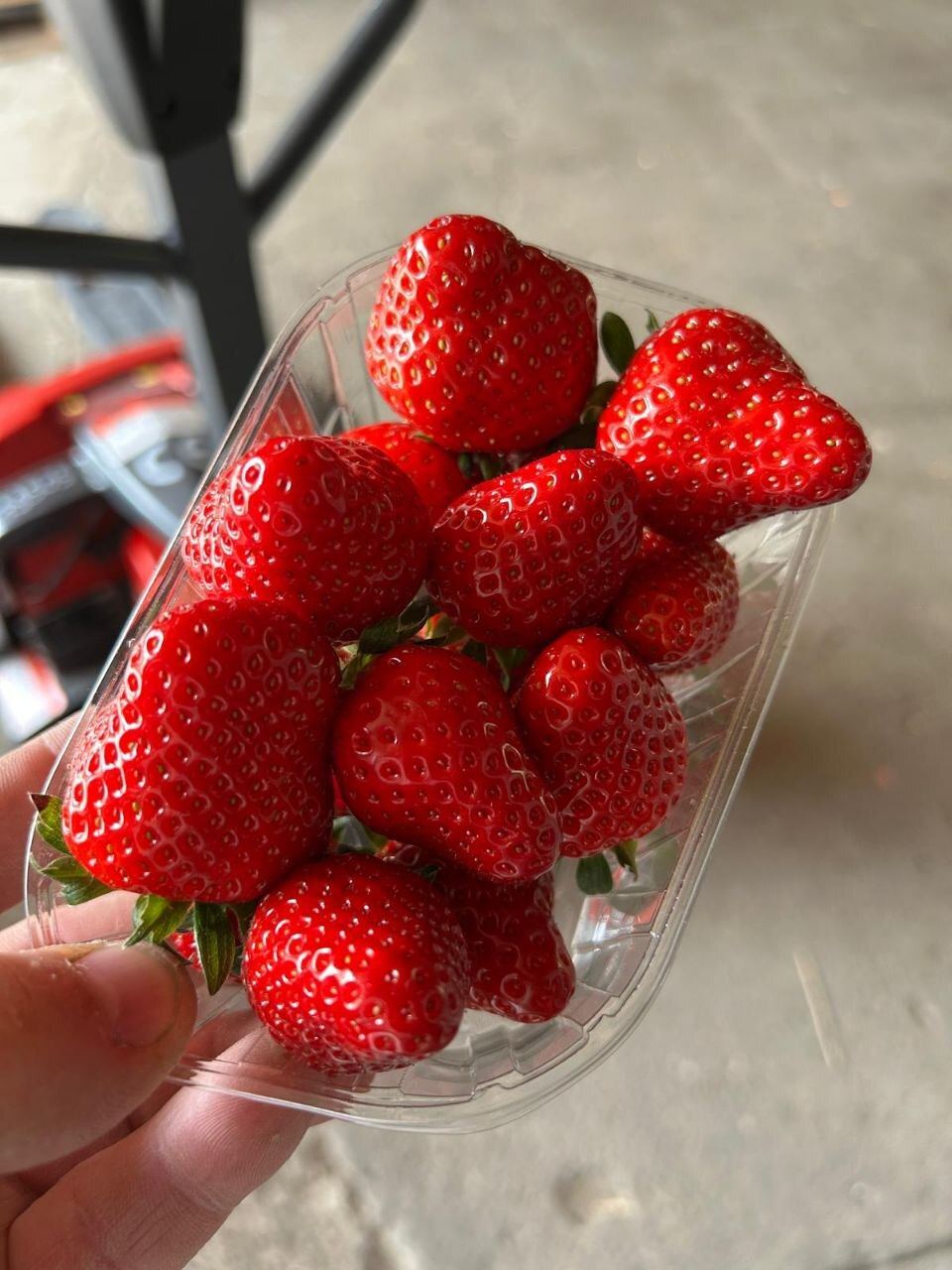 Magnum Strawberries by Yannick Colombie 1