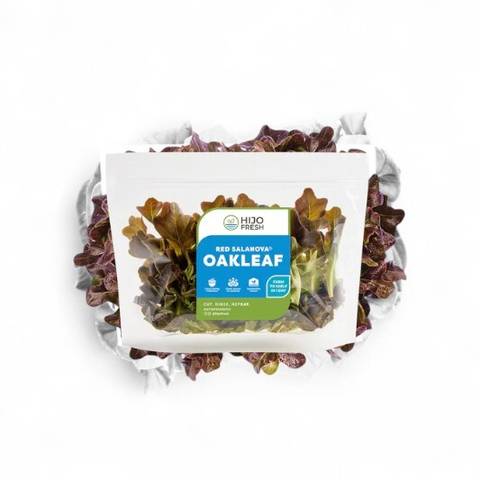 Red Salanova Oakleaf Lettuce by Hijo Fresh