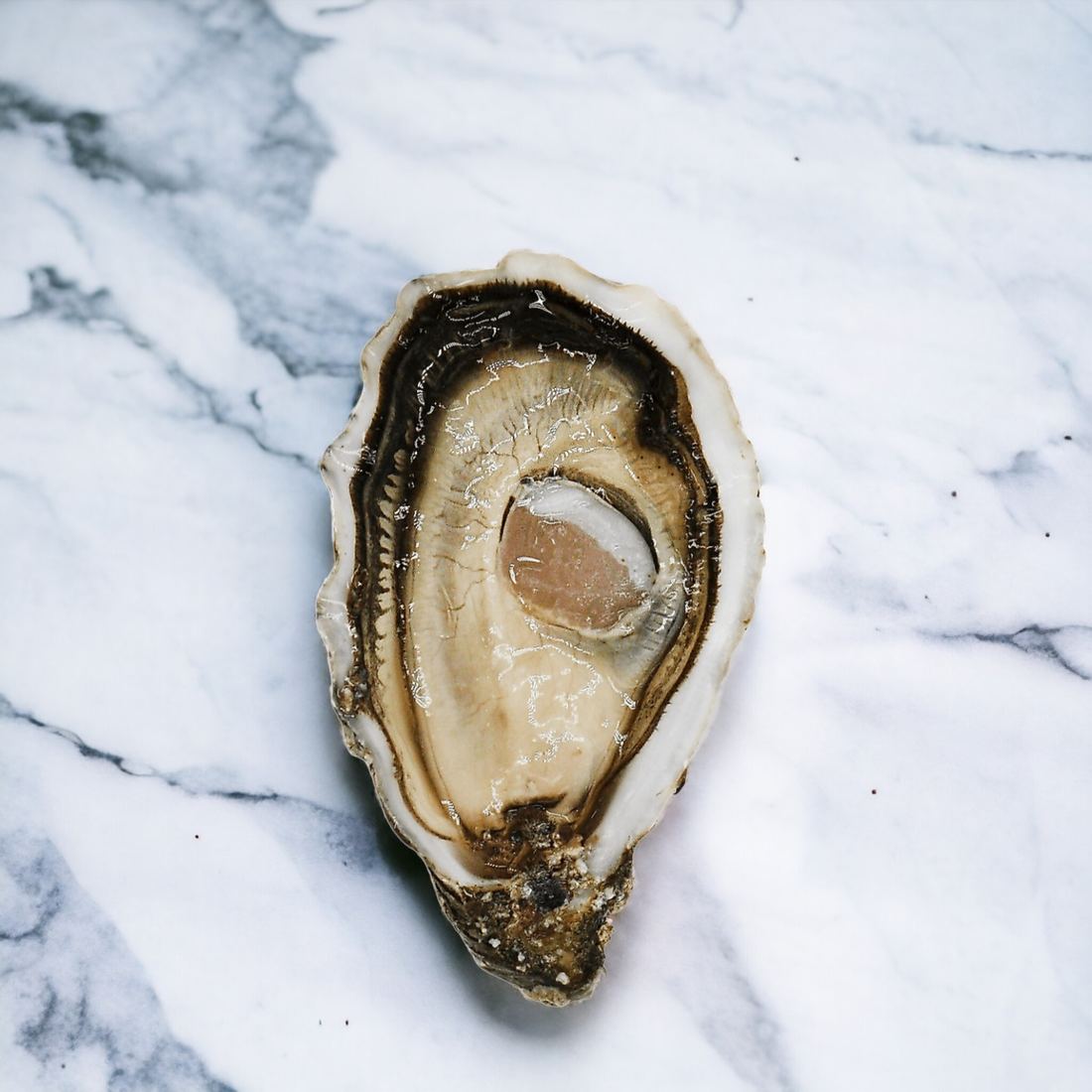 Huitres Sentinelle Oysters 1