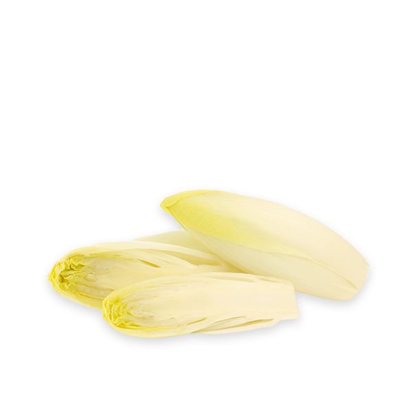 Fresh Endives from France 1