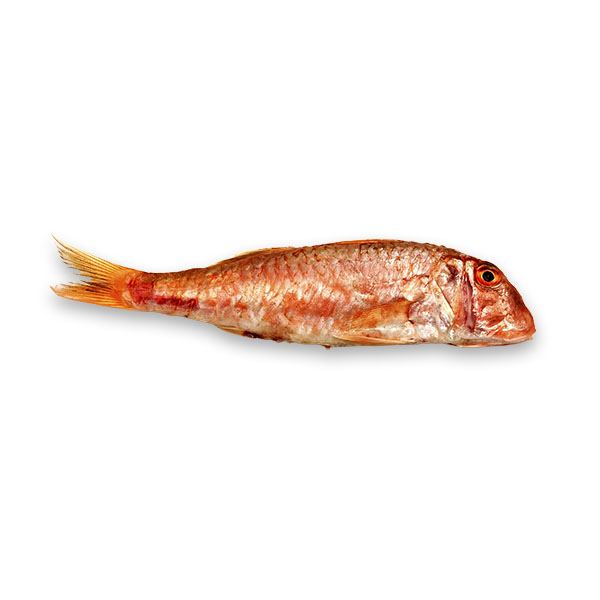Fresh Red Mullet / Rouget Barbet from France 1