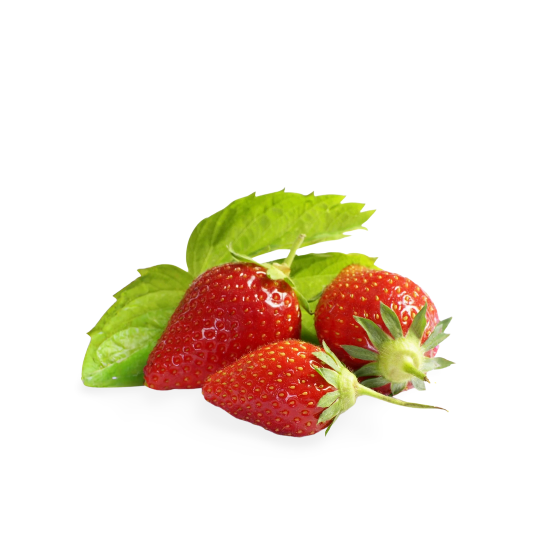 Ciflorette Strawberries from France 1
