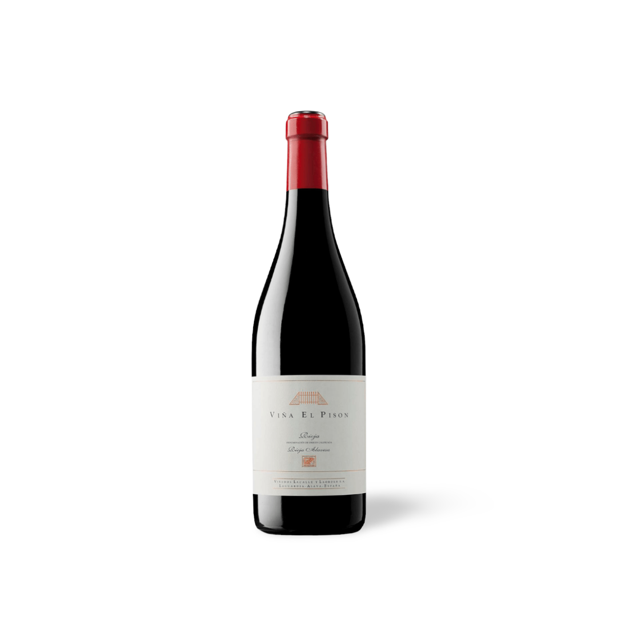 Processed image with background removed