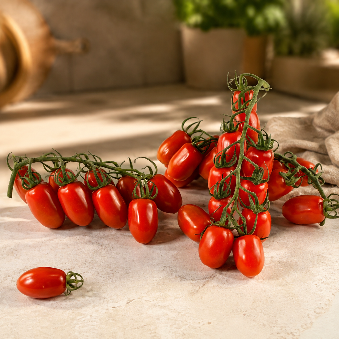 San Marzano Tomatoes thumbnail 3