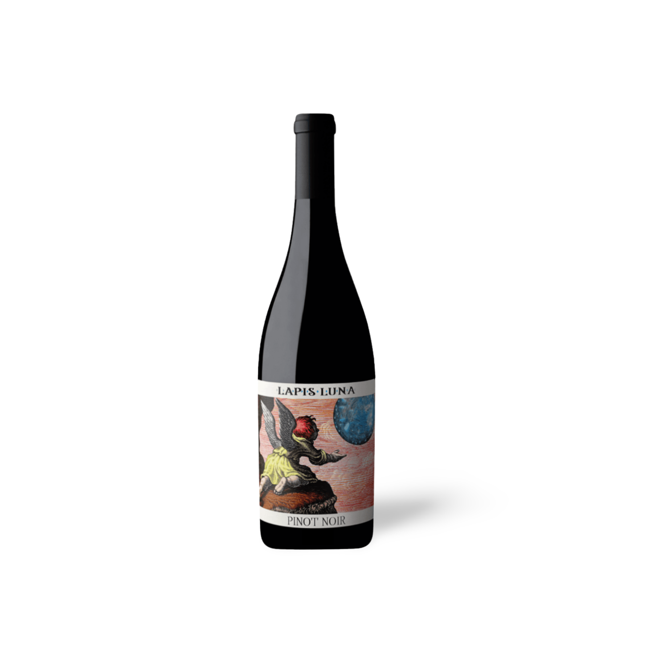 Processed image with background removed