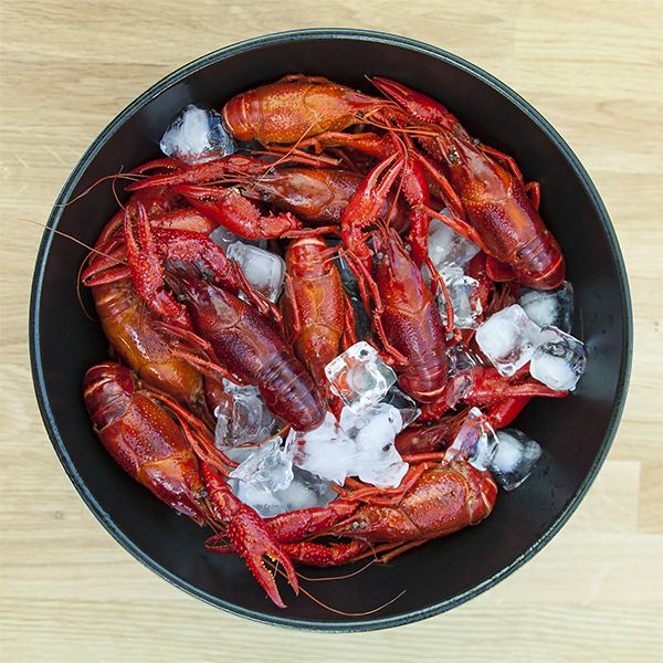 Fresh Crayfish (Écrevisse Vivante) thumbnail 2
