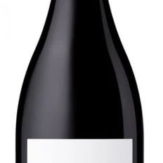 Bread & Butter Pinot Noir 2024