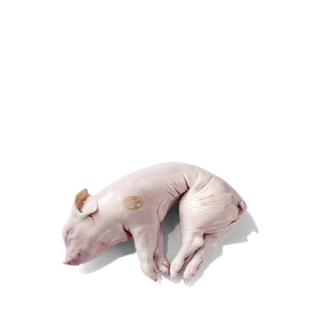 Cochinillo from Segovia D.O., Spain ( Frozen ) 1