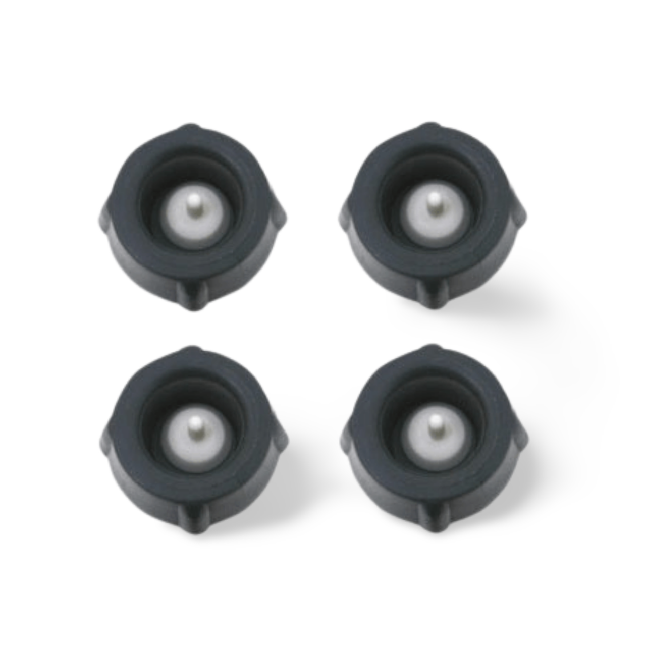 Processed image with background removed