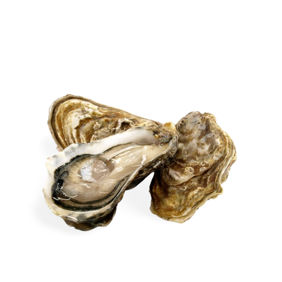 Saint Kerber Oysters Tasting Box thumbnail 2