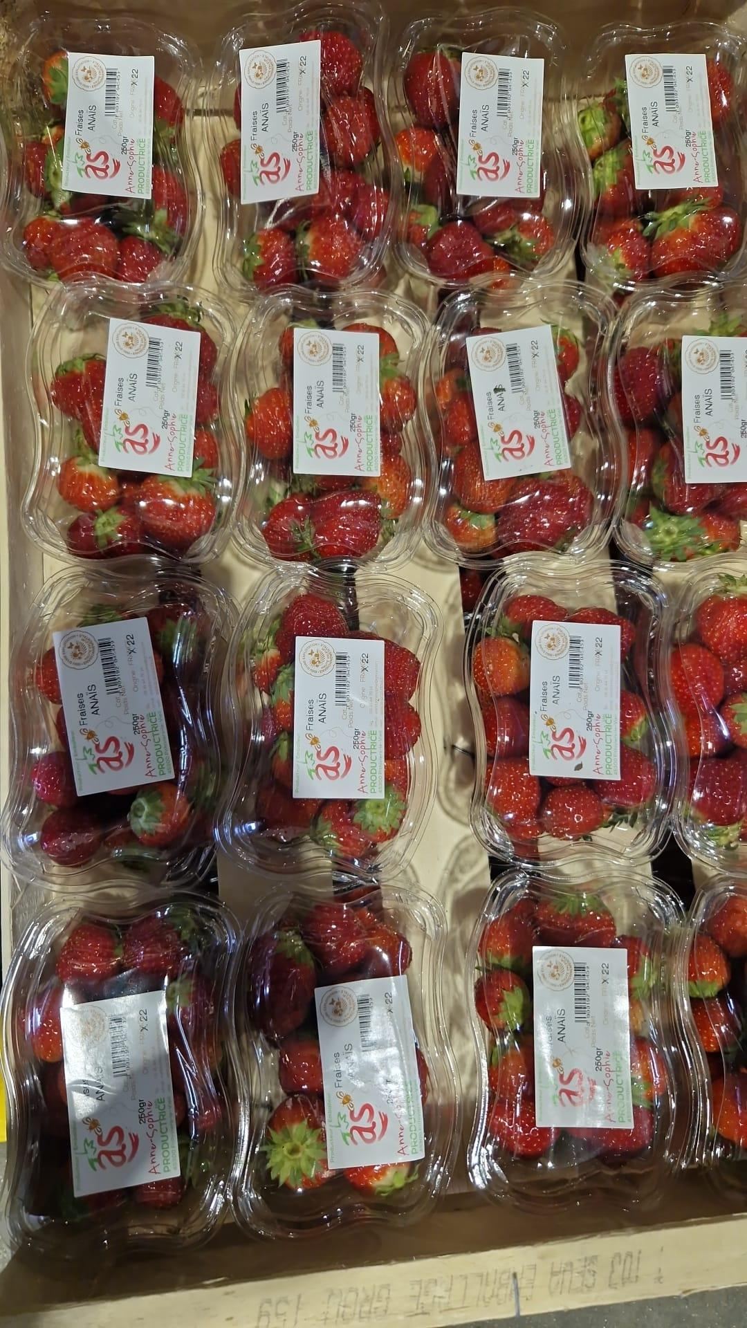 Anais Strawberries by Anne-Sophie’s Farm in France thumbnail 2