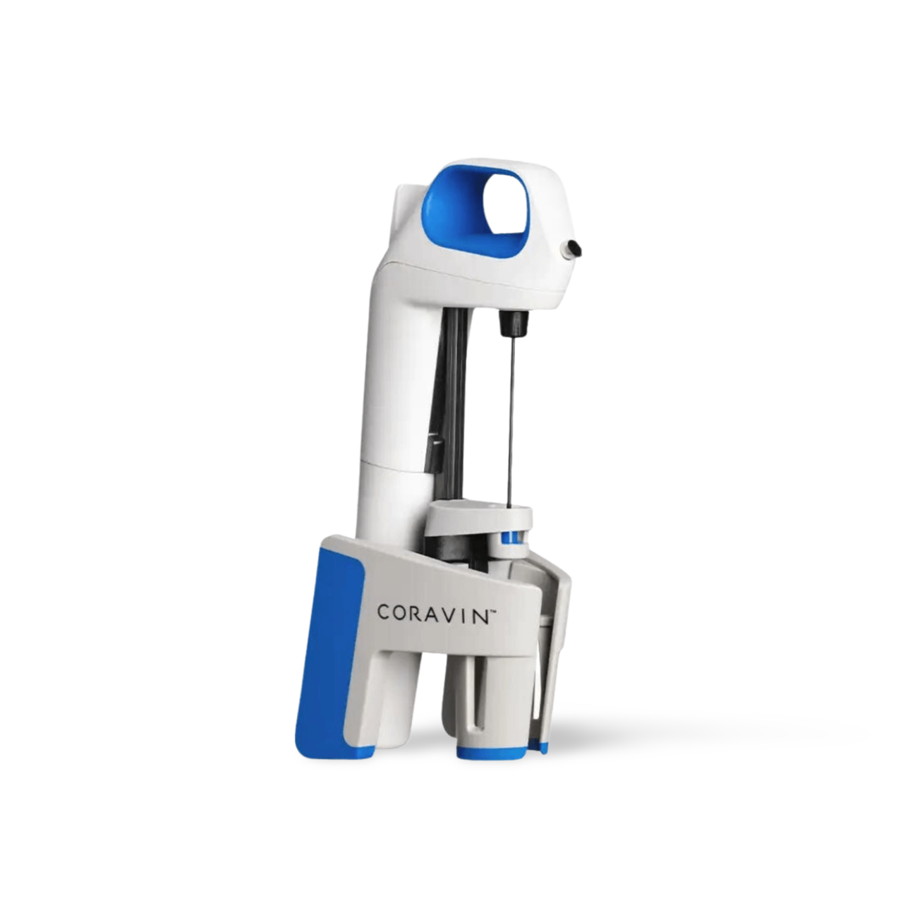 Processed image with background removed