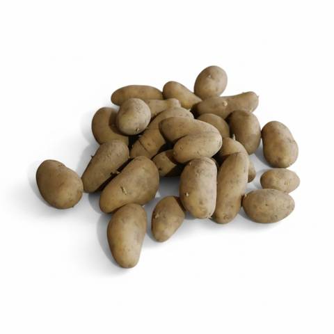 Grenaille Starlette / Maldive Potatoes