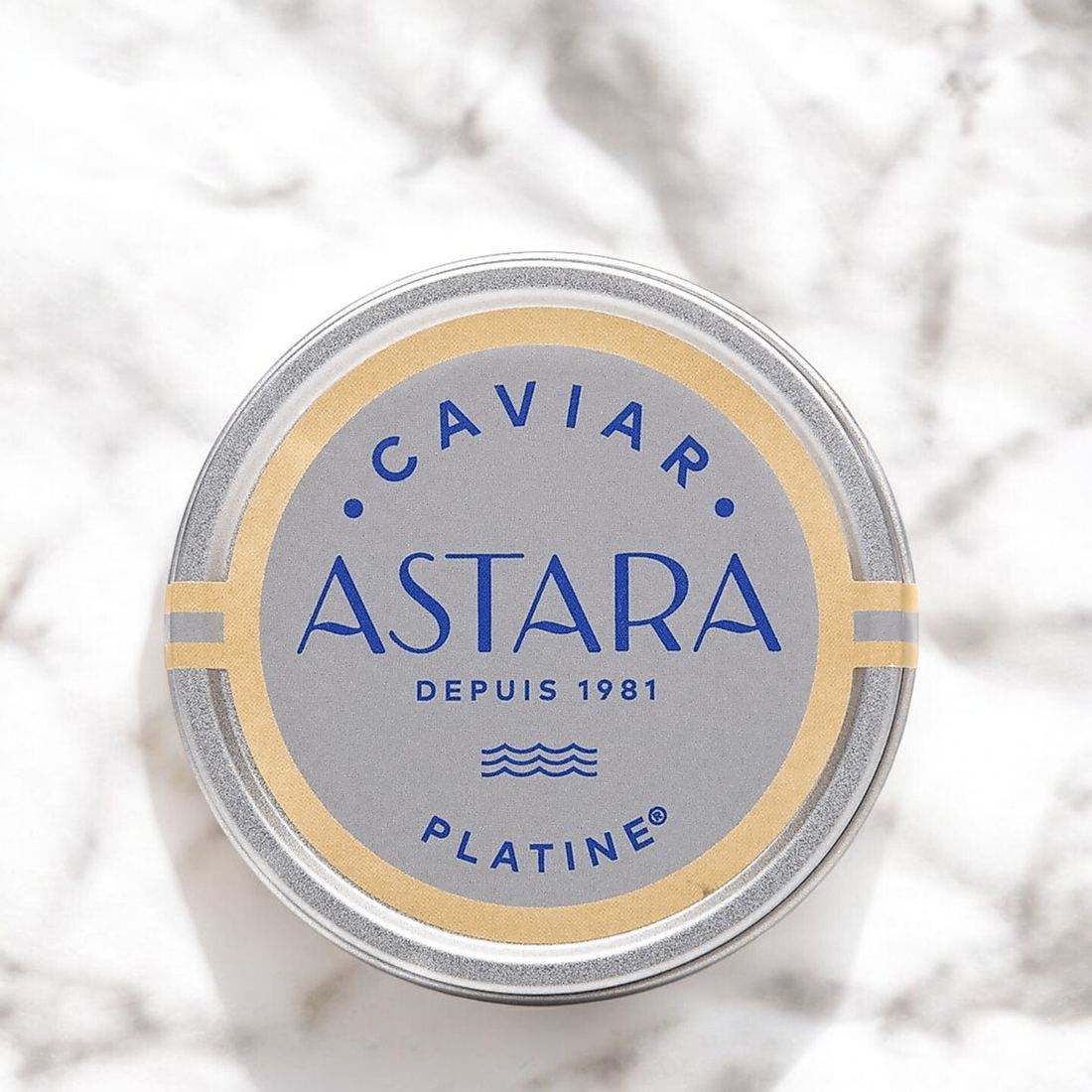 Astara Platine Caviar - Shrenkii x Dauricus 1