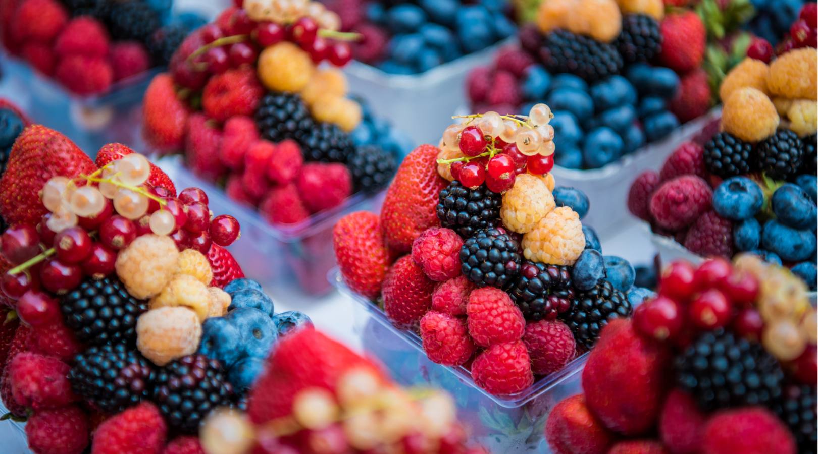 Seasons of Europe’s Bounty