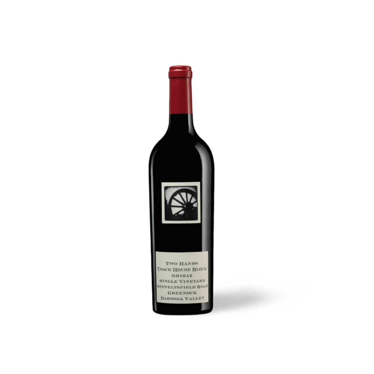 Processed image with background removed