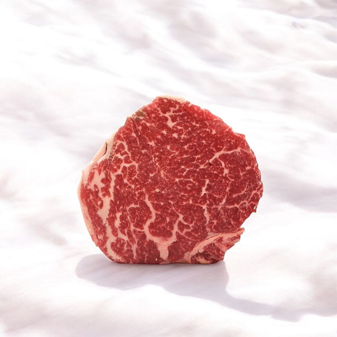 Sashi Sagyu AAA Tenderloin 1