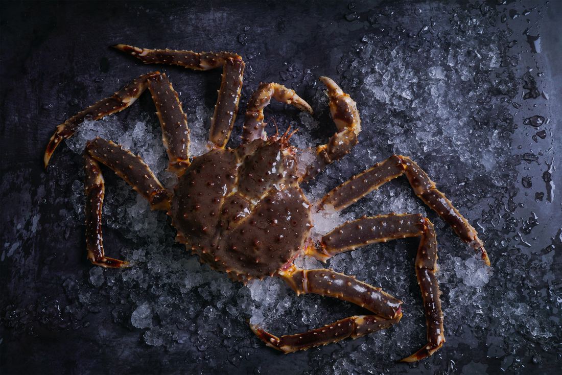 Alaskan King Crab thumbnail 3