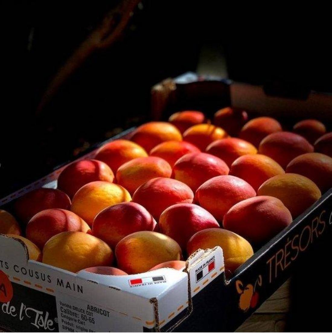 Apricot Chambertine thumbnail 2