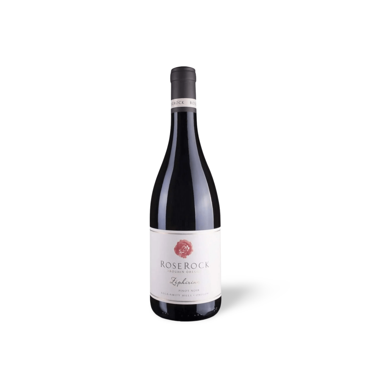 Processed image with background removed