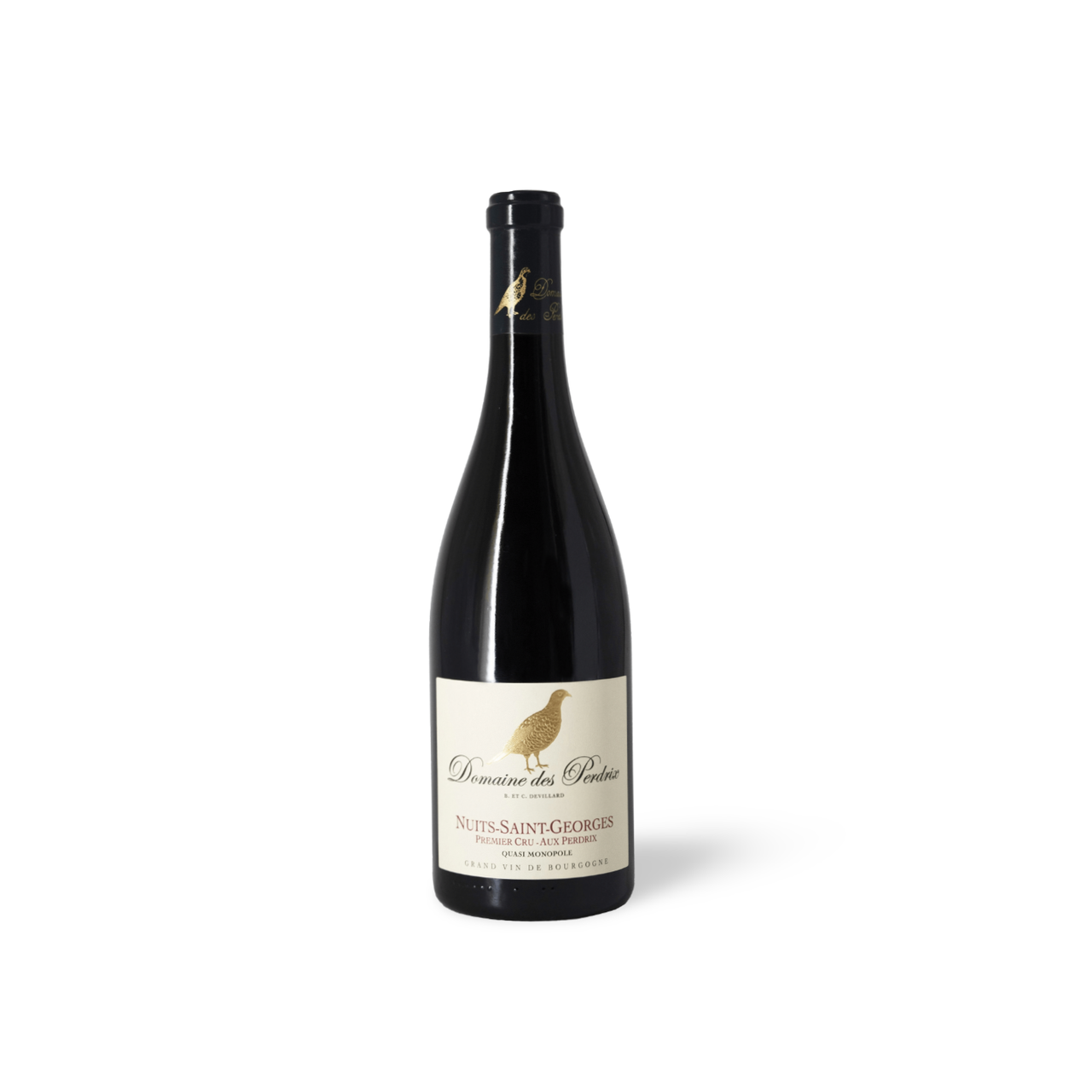 Processed image with background removed