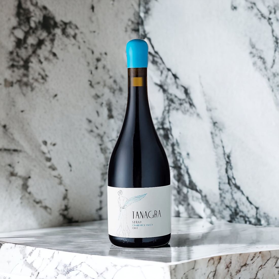 Villard Tanagra Syrah 1