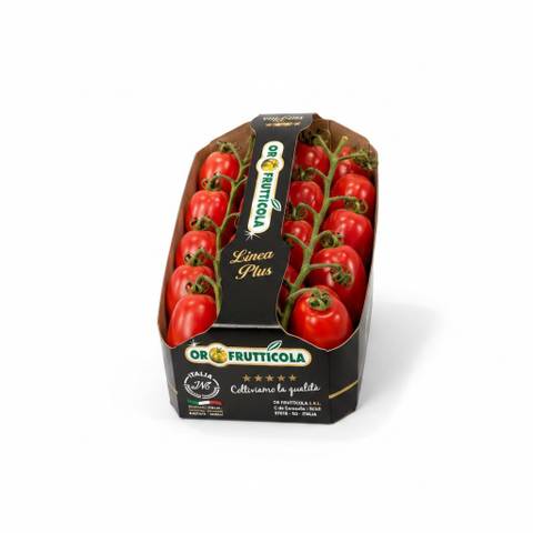 Datterino Cherry Tomatoes