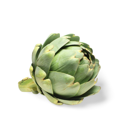 Big Artichokes from France
