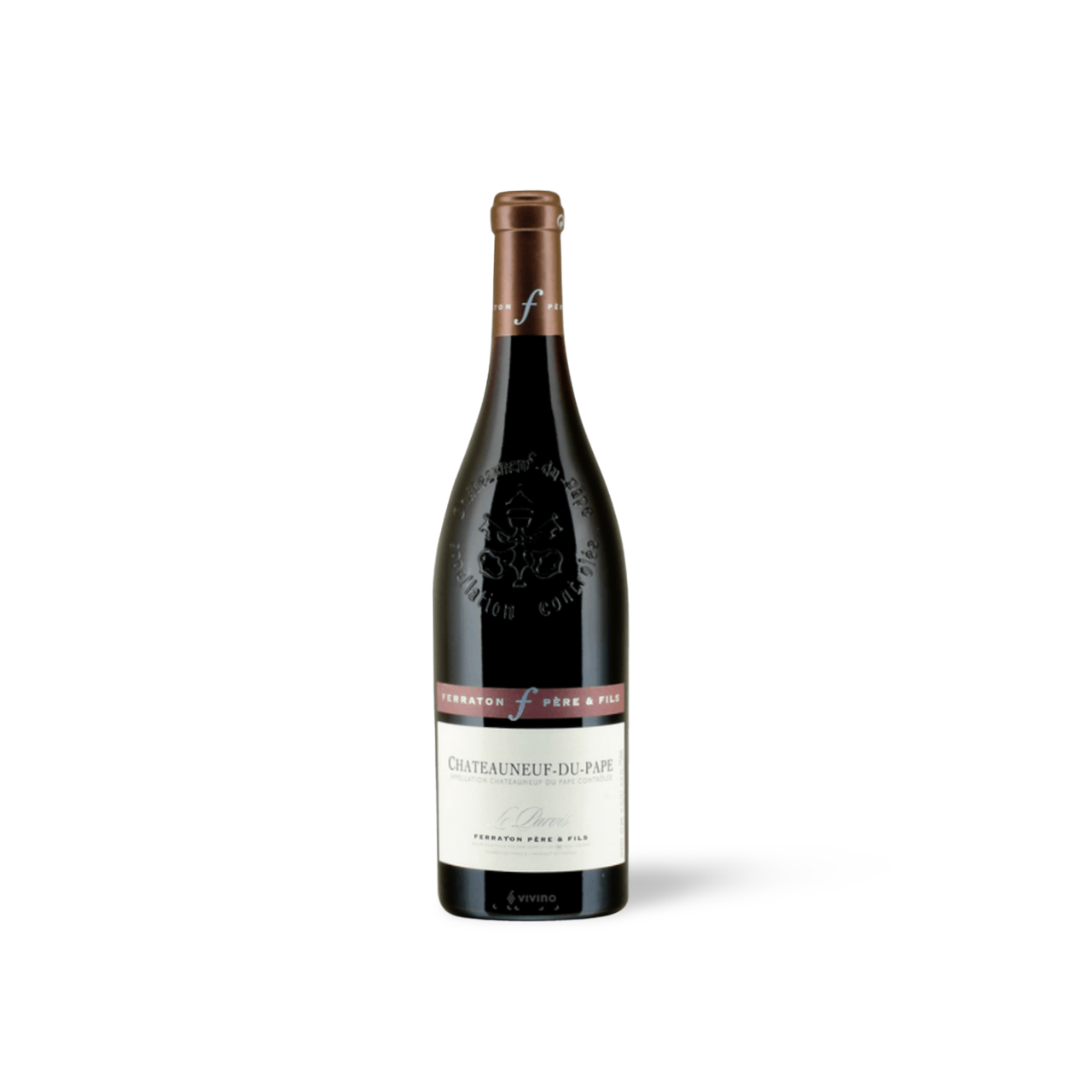 Processed image with background removed