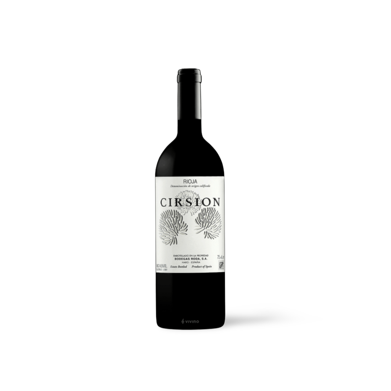 Processed image with background removed