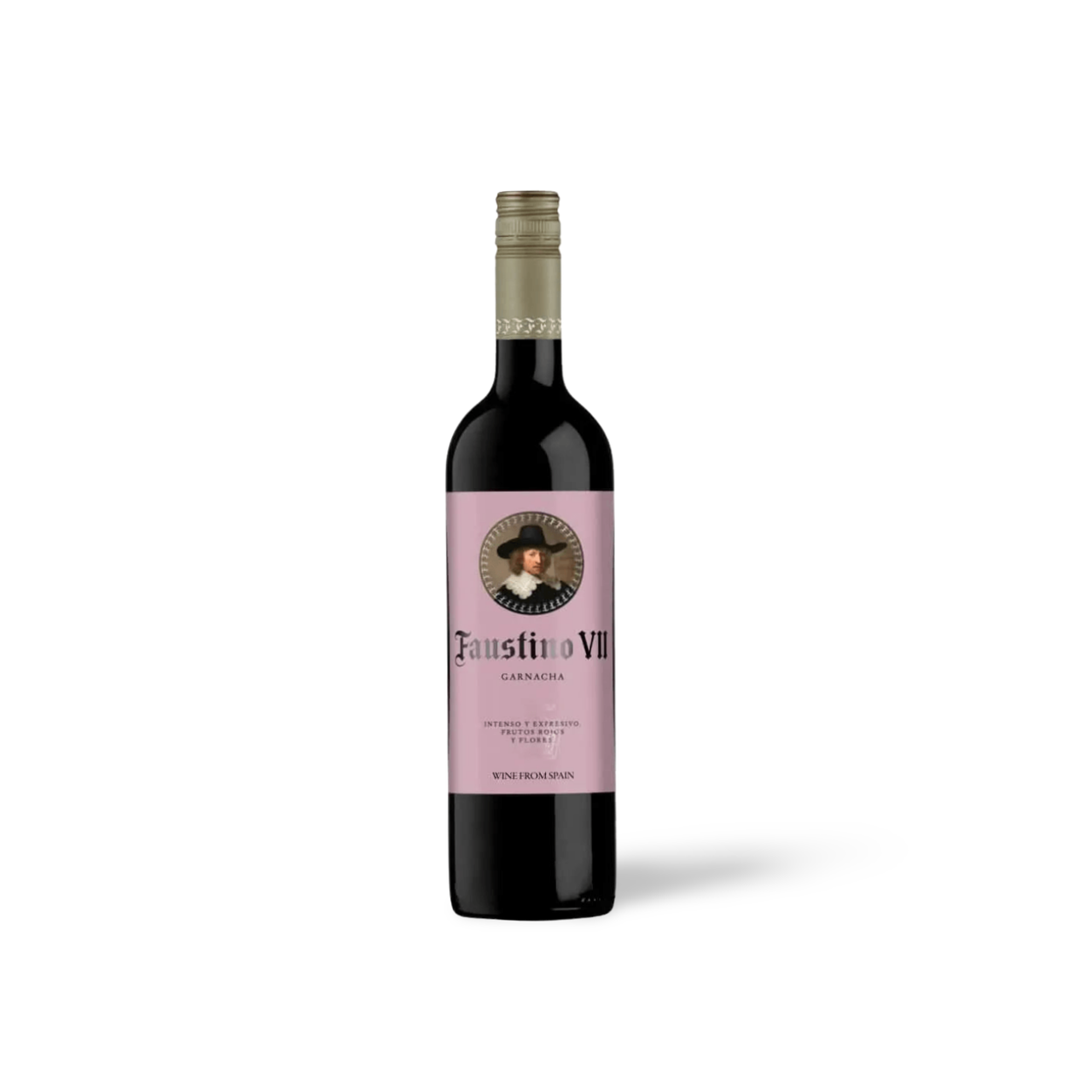 Processed image with background removed