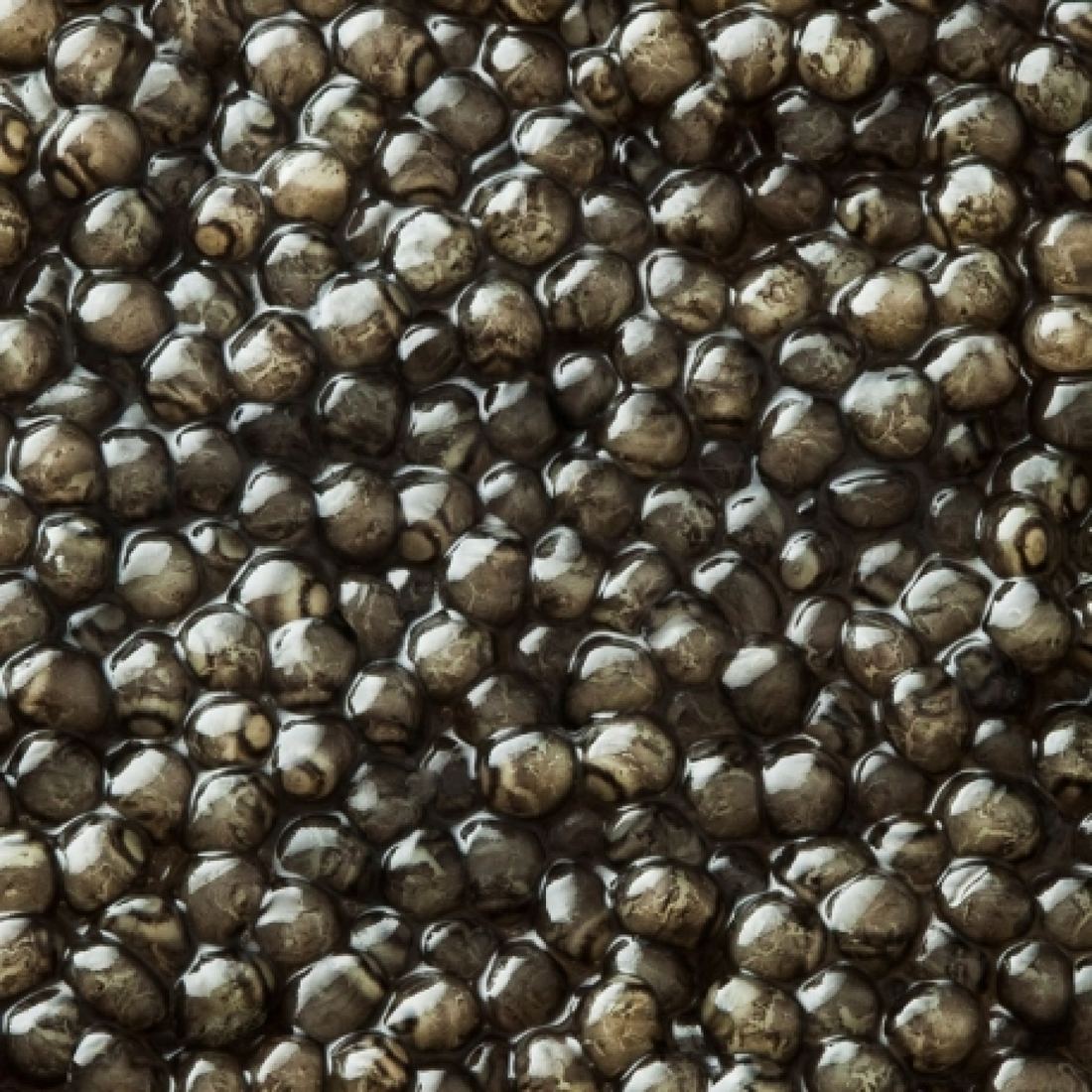 Kaviari Beluga Caviar thumbnail 2