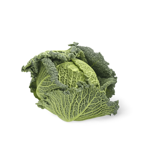 Savoy Cabbage from France