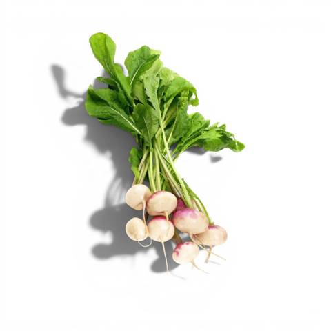Baby Turnips from France