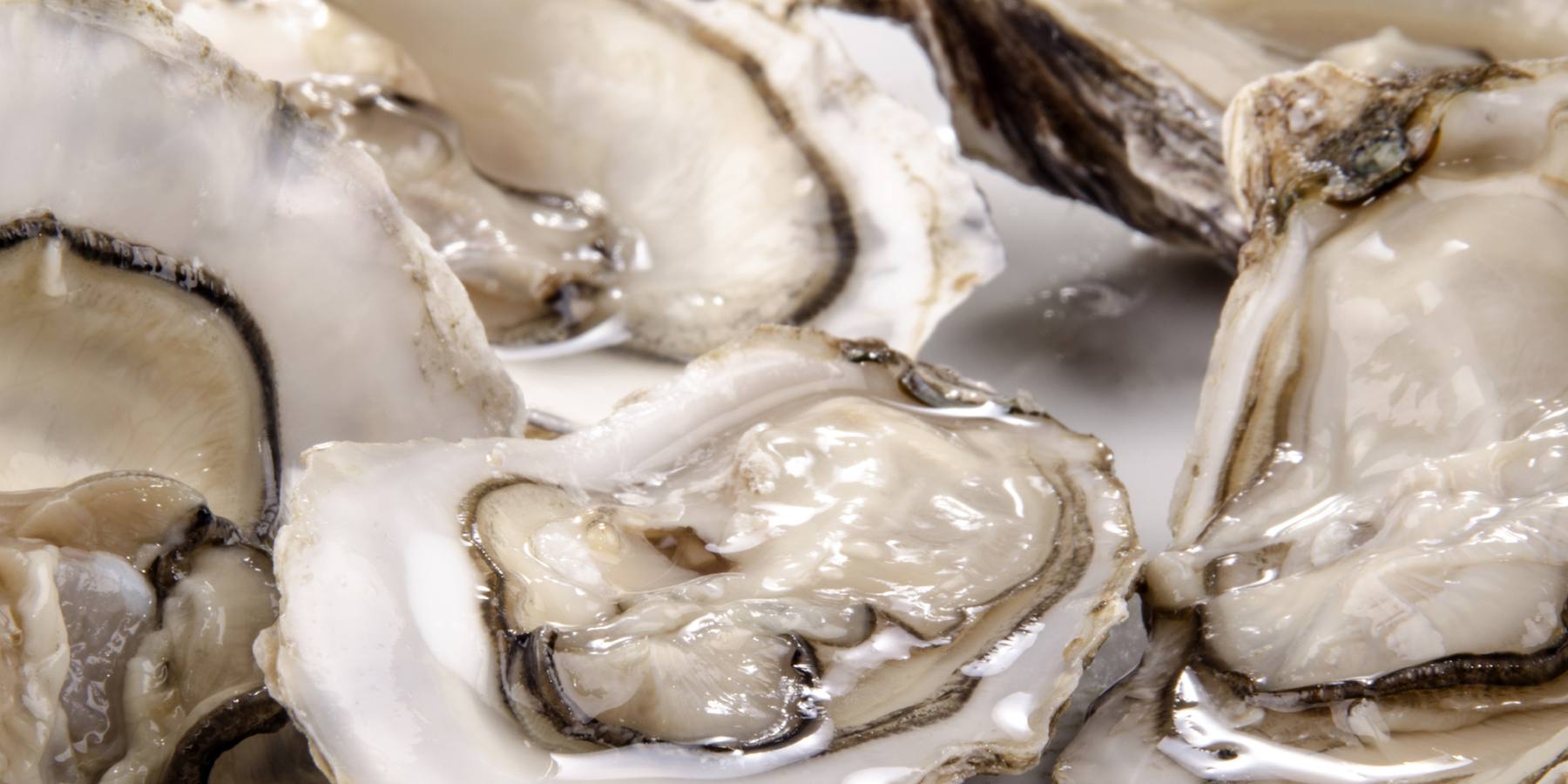 There are three types of oysters that are cultivated and eaten in Ireland: the native or European flat oyster, the Portuguese rock oysters, and the Pacific oyster as seen in photo.