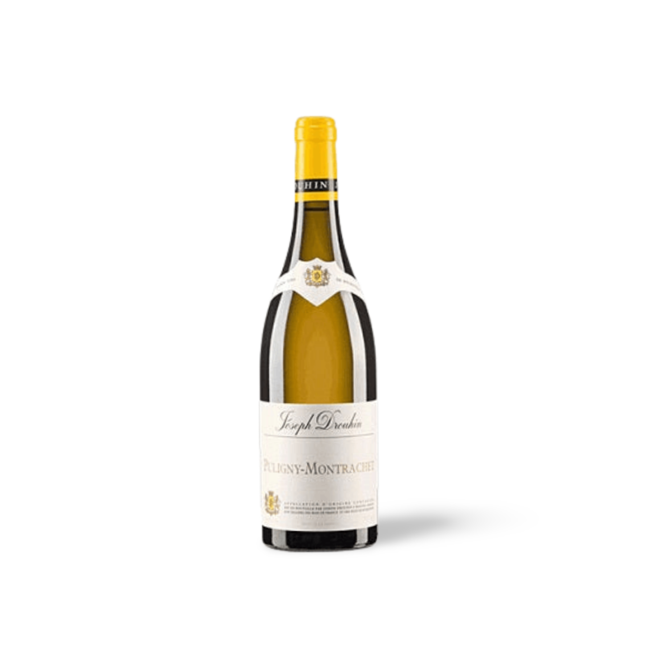 Processed image with background removed