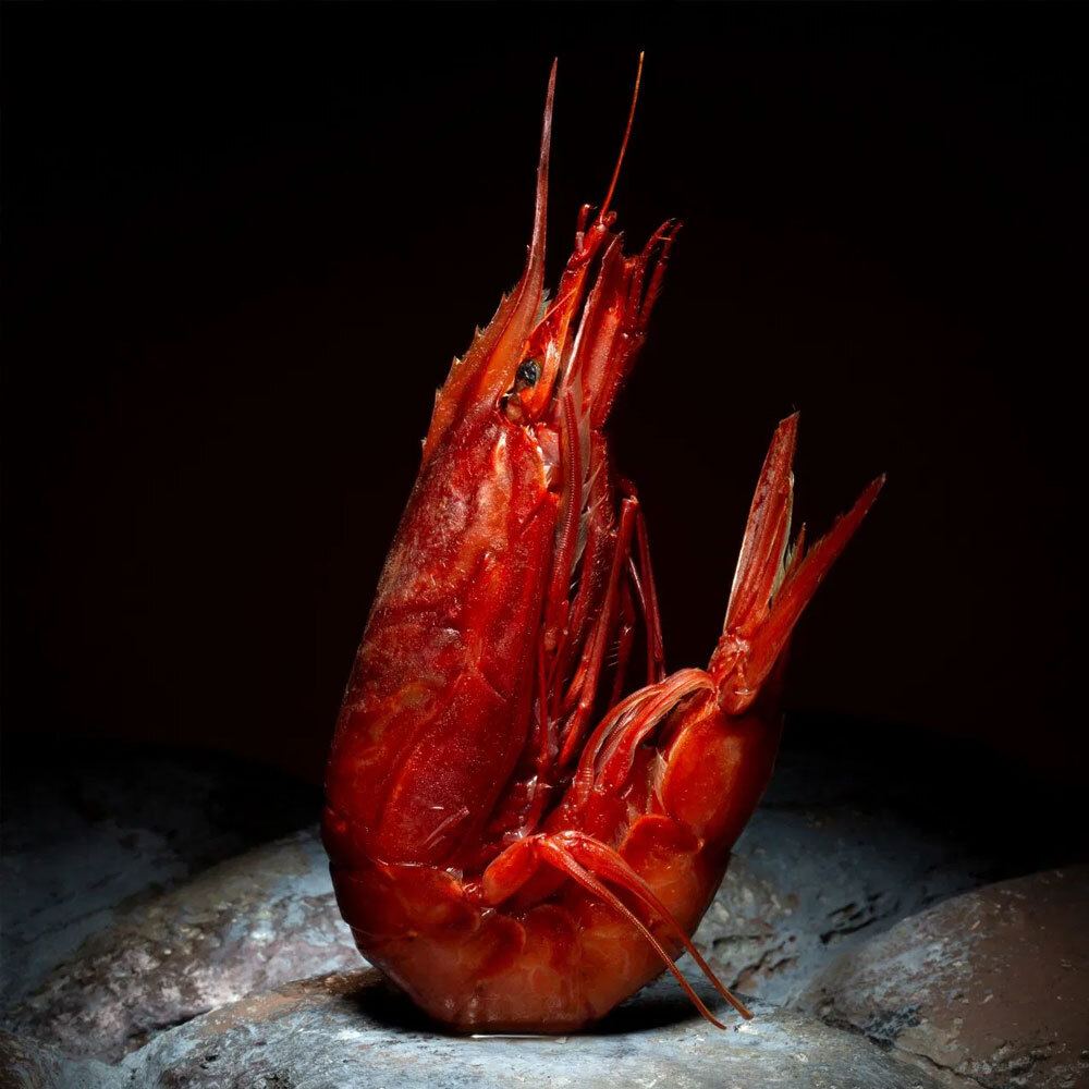 Rosso di Mazara Gambero Rosso 1