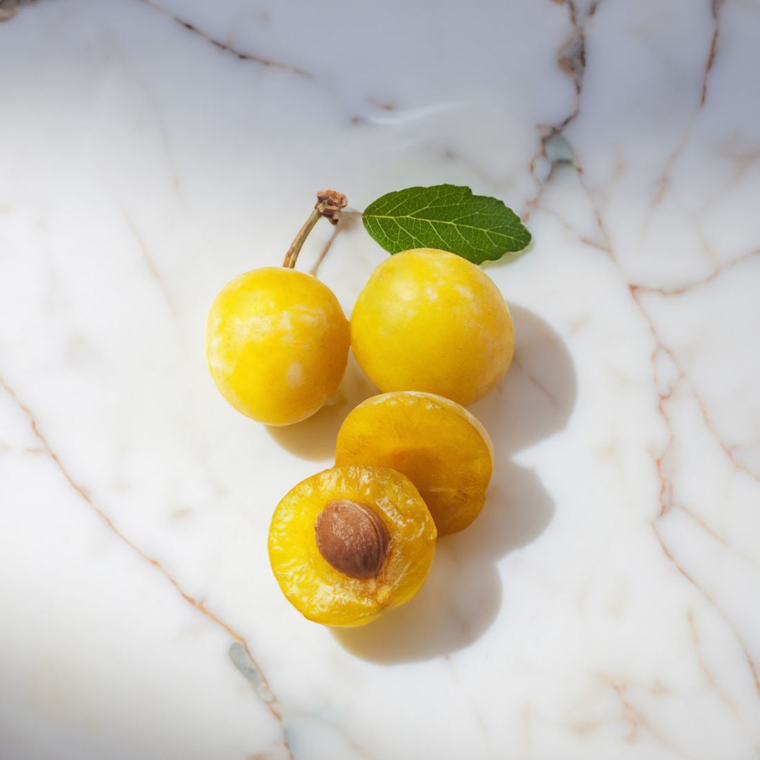 Mirabelle Plums from France thumbnail 2