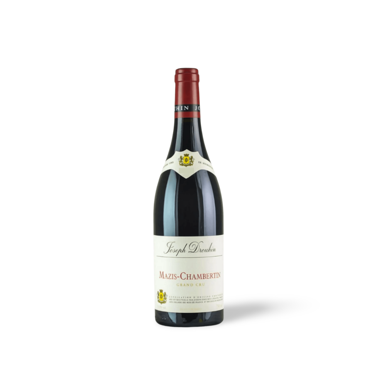 Processed image with background removed