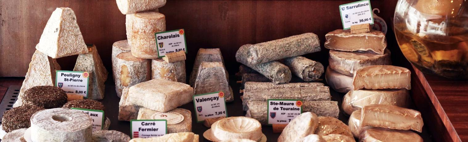 Italian Cheeses