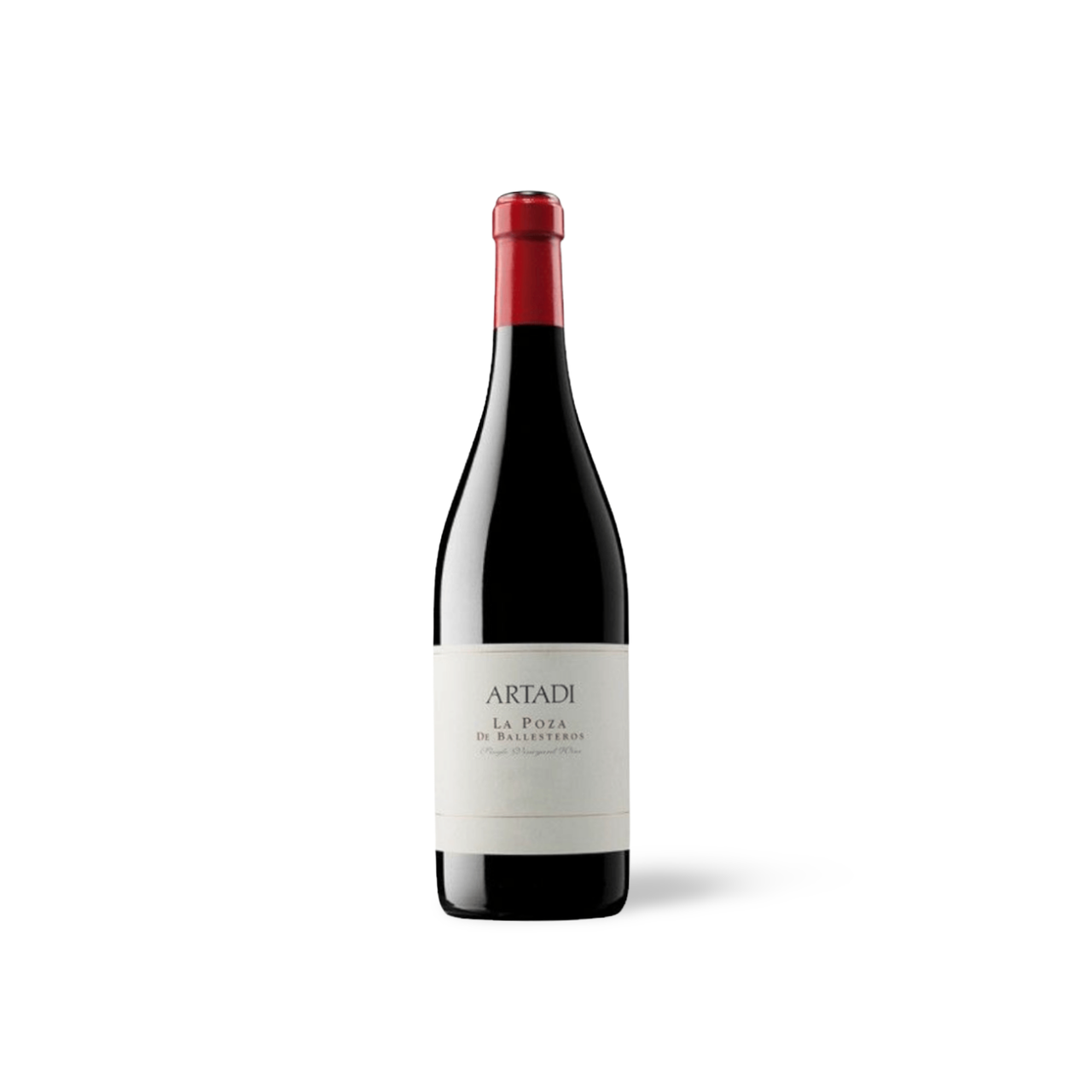 Processed image with background removed