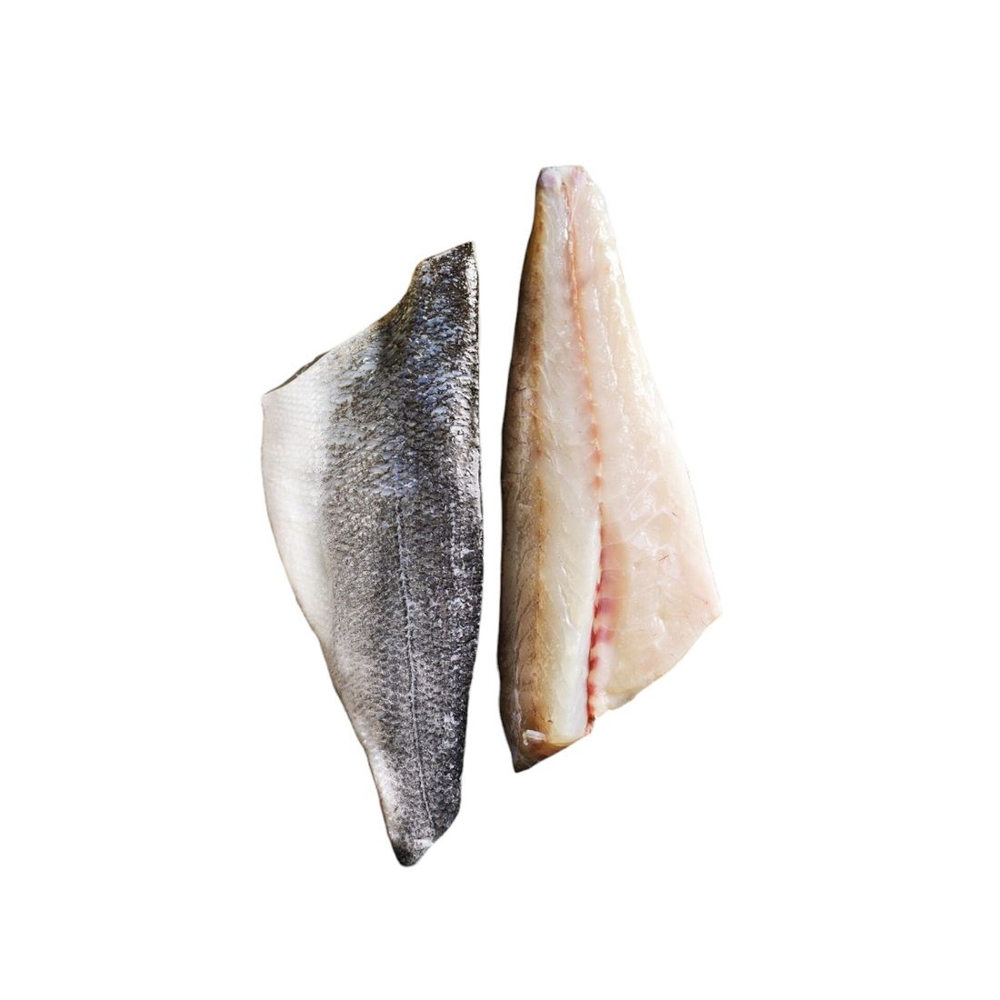 Branzino Fillet (Mediterranean Seabass) thumbnail 2