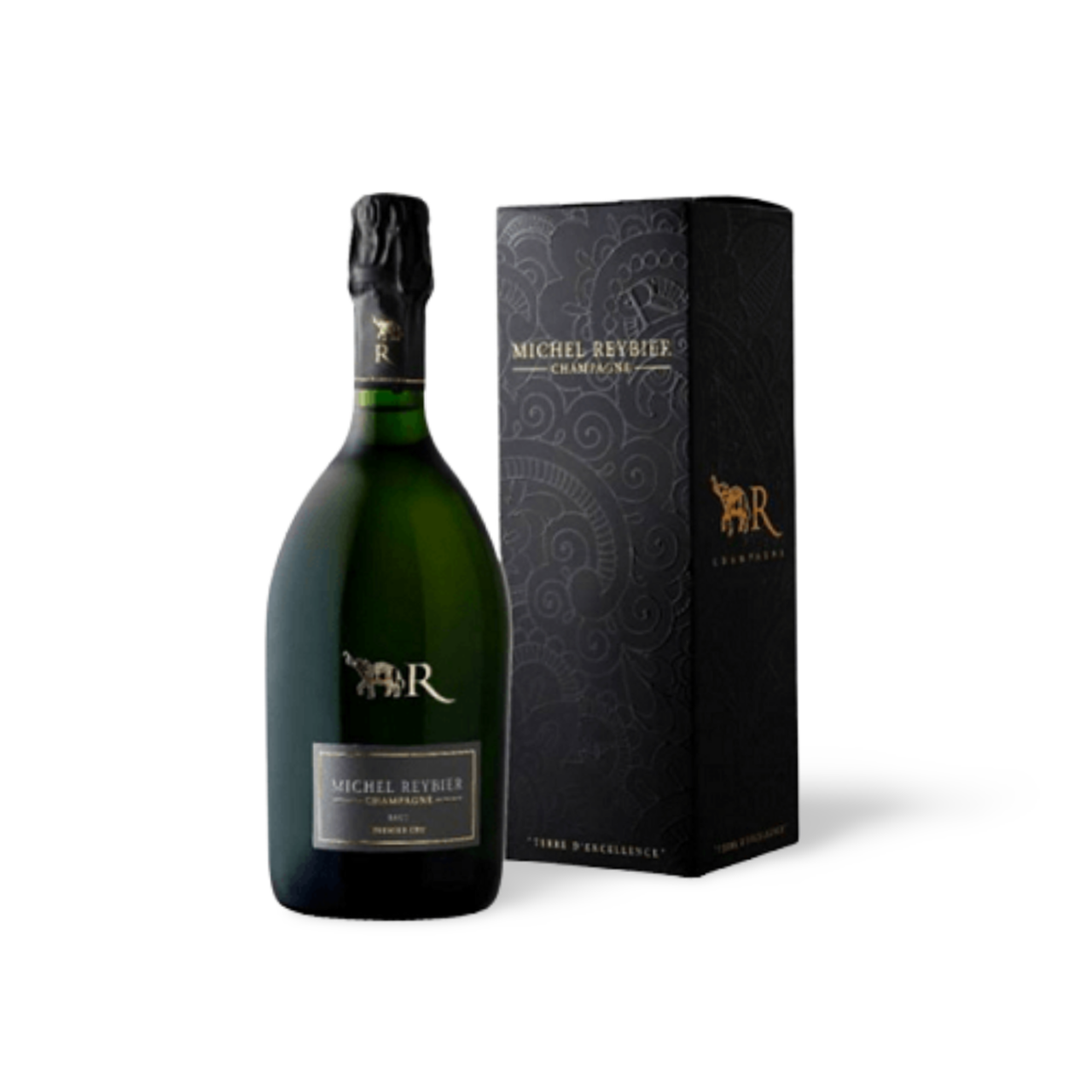 Processed image with background removed