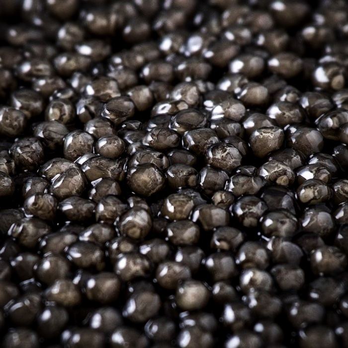 Astara Beluga Caviar 1