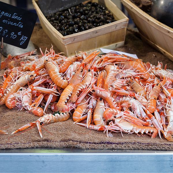 Fresh Scampi (Langoustine) thumbnail 2