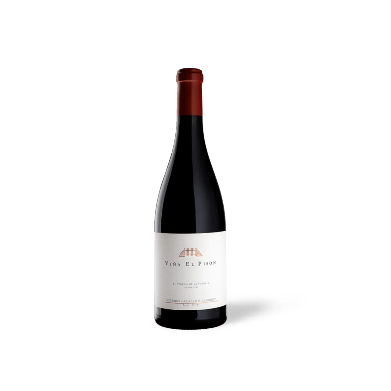 Processed image with background removed