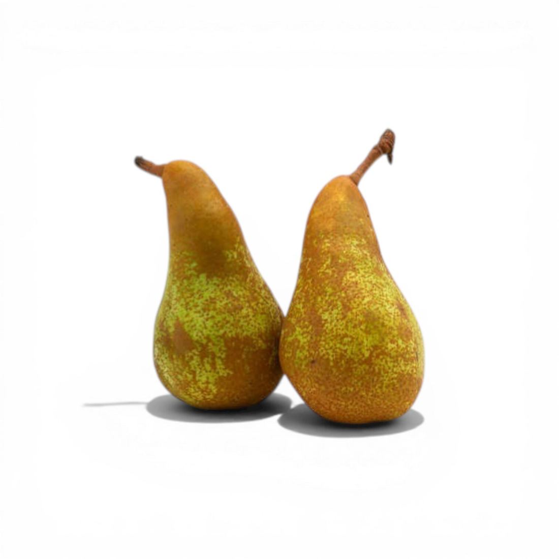 Conference Pears 1